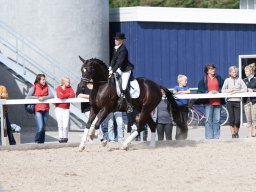IMG_8095_web